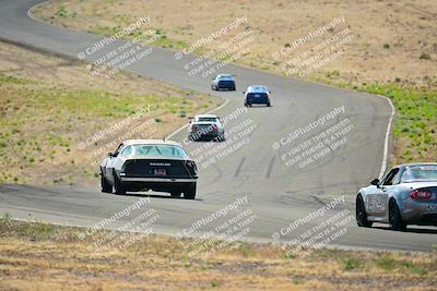 media/May-04-2025-Lucky Dog Racing (Sun) [[21629467aa]]/Turn 6 (910-930am)/